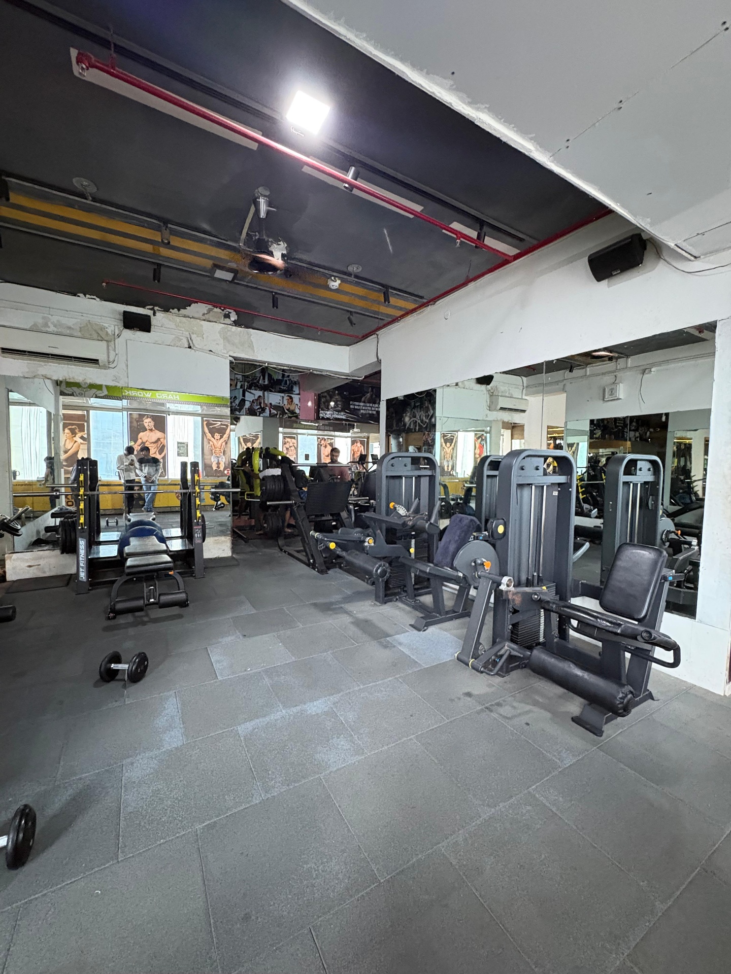 Leg press and pin-loaded machines